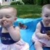 Baby tweeling genieten van hun koekjes